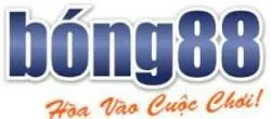 linkbong88.guru